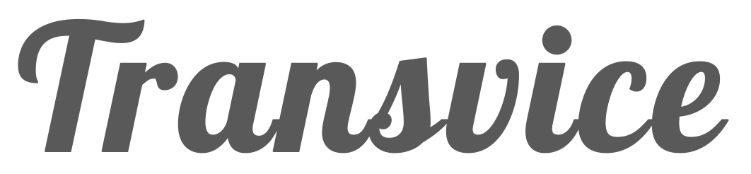 logo-transvice2.png